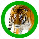 Animals 360 app icon