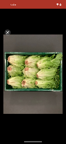 Schiffer Food Trading app screenshot 1